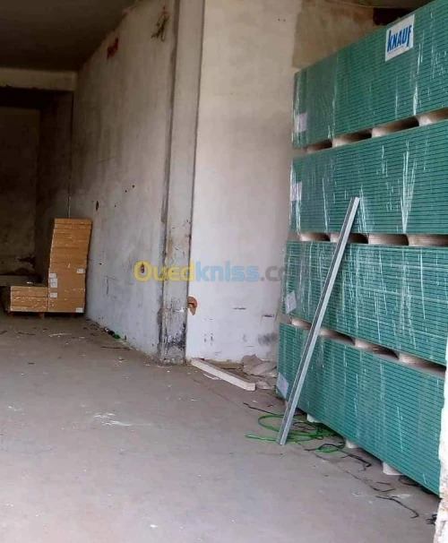 Knauf distribution ba13 hydrofuge vert