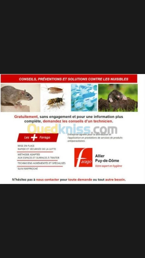 désinsectisation dératisation 4d