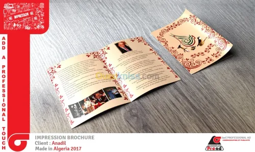 impression( numérique+offset)/stand 