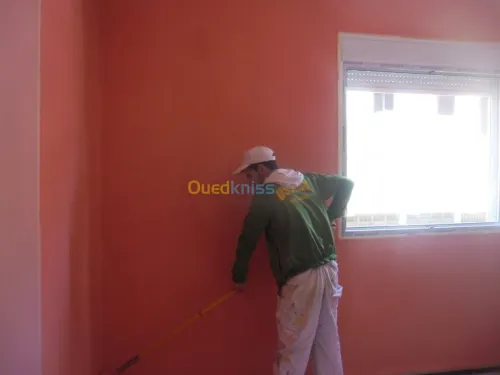 peintre Professional