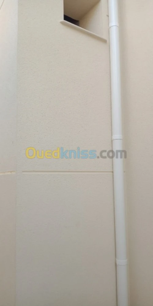 revêtement de façade en  Monocouche