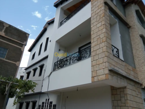Revêtement De Façade En Monocouche