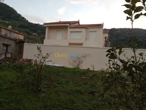 Revêtement De Façade En Monocouche