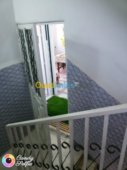 Location Appartement F2 Aïn Témouchent Ain temouchent