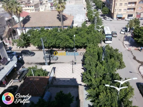 Location Appartement F2 Aïn Témouchent Ain temouchent