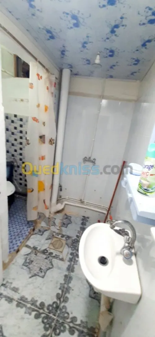 Location Appartement F2 Aïn Témouchent Ain temouchent