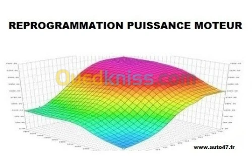 REPROGRAMMATION MOTEUR