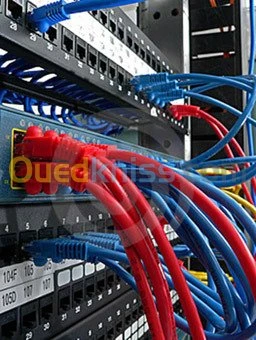 CÂBLAGE ET RÉSEAUX INFORMATIQUES 