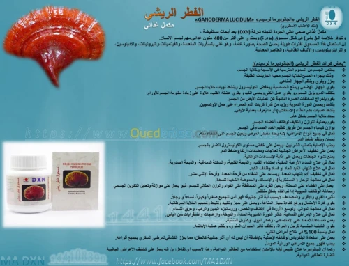  السبيرولينا والفطر الريشي وعرف الأسد