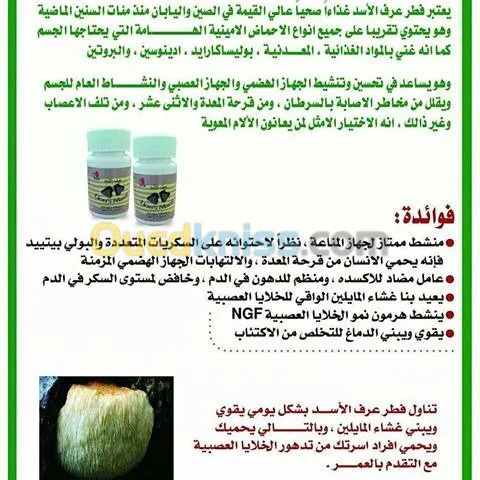  السبيرولينا والفطر الريشي وعرف الأسد