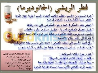  السبيرولينا والفطر الريشي وعرف الأسد