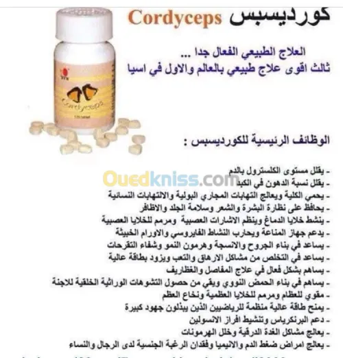  السبيرولينا والفطر الريشي وعرف الأسد