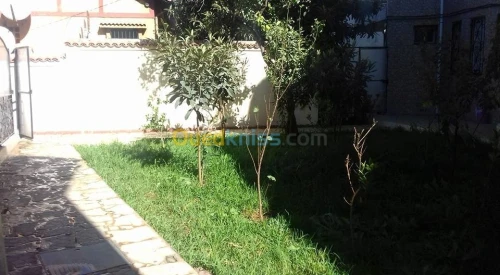 Insciptions 2018/2019