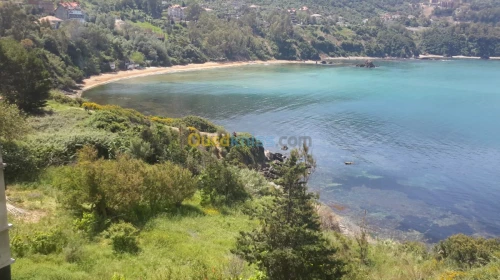 Location vacances Appartement F2 Jijel Ziama mansouriah