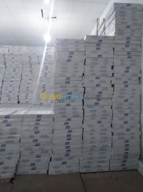 Installation Faux Plafond démontable