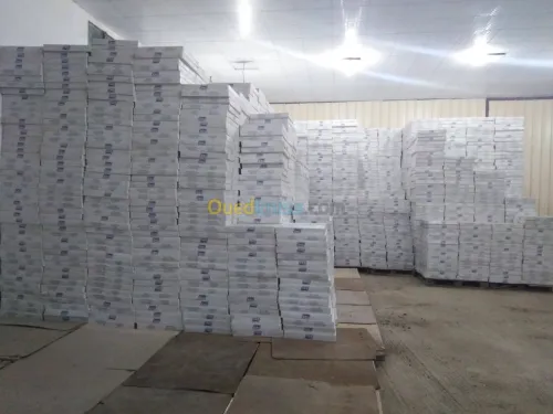 Installation Faux Plafond démontable