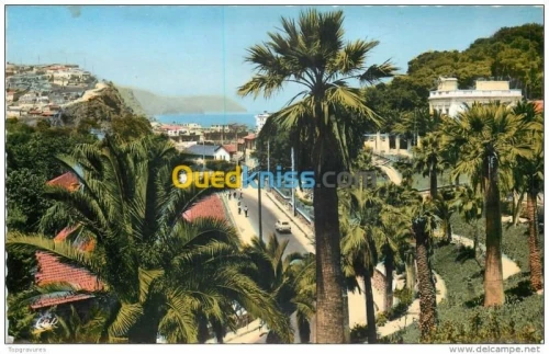 Location Niveau De Villa F3 Ain temouchent Beni saf