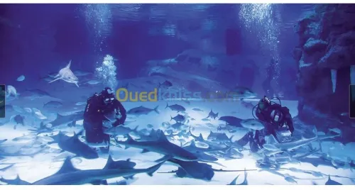AQUARIUM AQUAPARC