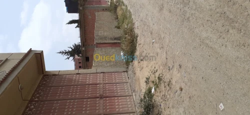 Vente Terrain Boumerdes Hammedi