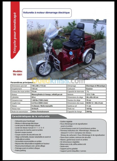 Fauteuil Roulant électrique  lit promo