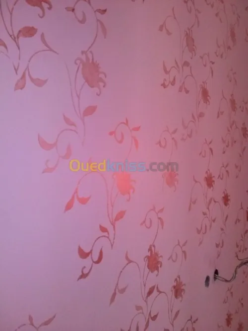 peinture décorative