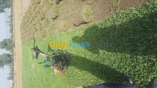 amenagement des espaces verts 