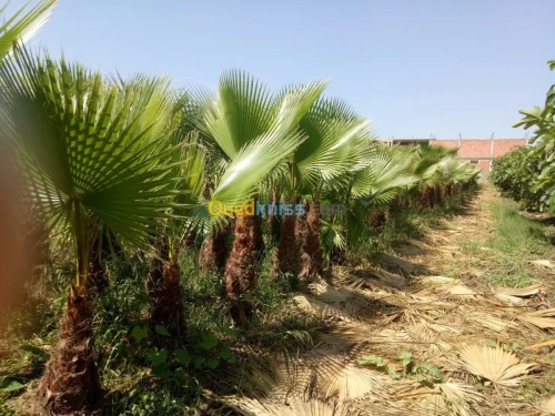 amenagement des espaces verts 