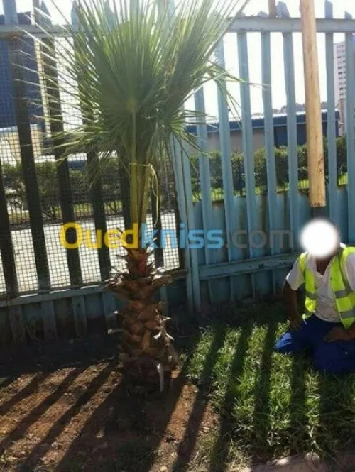 amenagement des espaces verts 