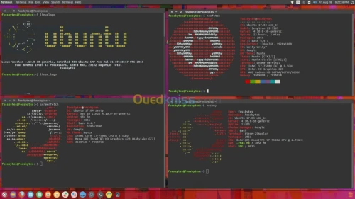 Formation  Linux Disktop