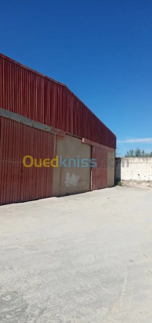 Location Hangar Sidi Bel Abbès Sidi bel abbes