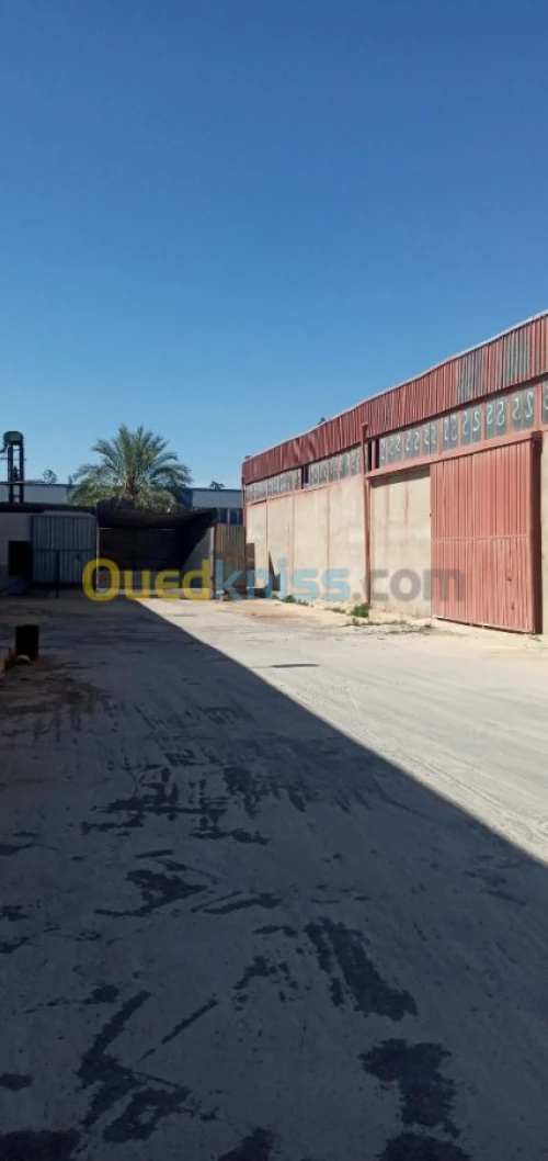 Location Hangar Sidi Bel Abbès Sidi bel abbes