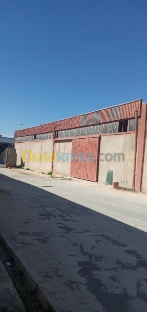 Location Hangar Sidi Bel Abbès Sidi bel abbes