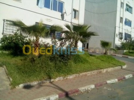 Location Appartement F3 Alger Ain benian