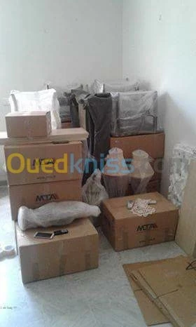 TRANSPORT DÉMÉNAGEMENT /نقل الأثاث  B
