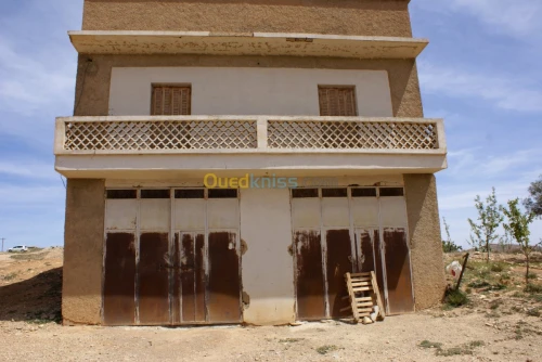 Vente Terrain Agricole Tebessa Bekkaria 