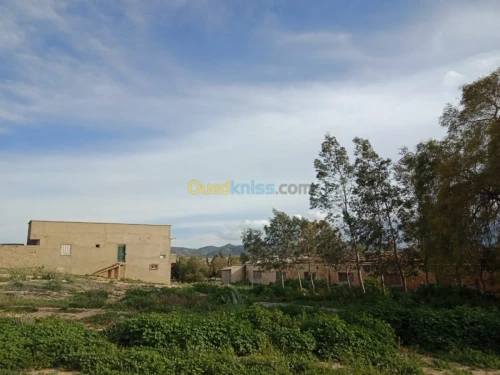 Vente Terrain Agricole Tebessa Bekkaria 
