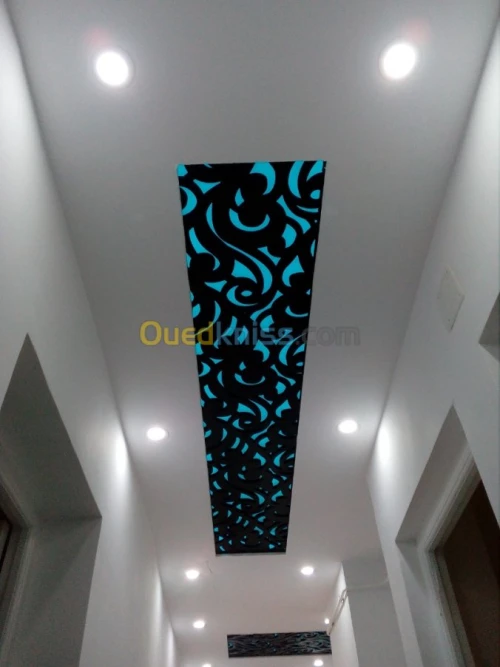 placoplatre et decoration