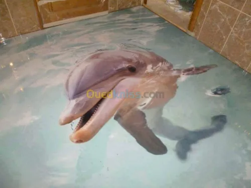 Revetement de Solle 3D Epoxy  