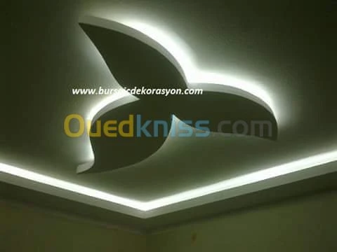 Travaux placo platre 