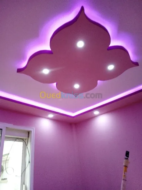 Travaux placo platre 