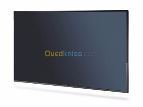 Moniteur professionnel NEC E425 /42"