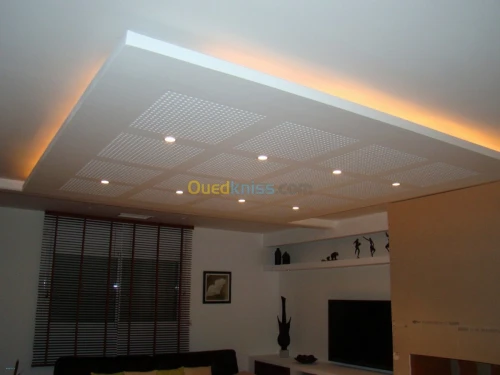 Faux plafond / Déco intérieur BA13/PVC