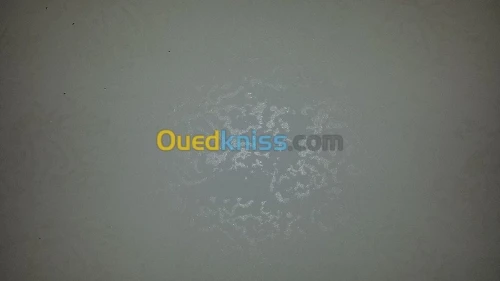 Peintre & décoration 