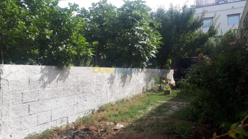 Location Bungalow Boumerdes Djinet