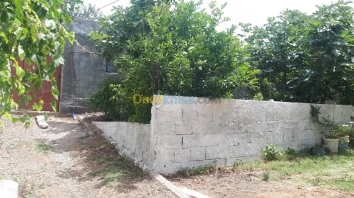 Location Bungalow Boumerdes Djinet