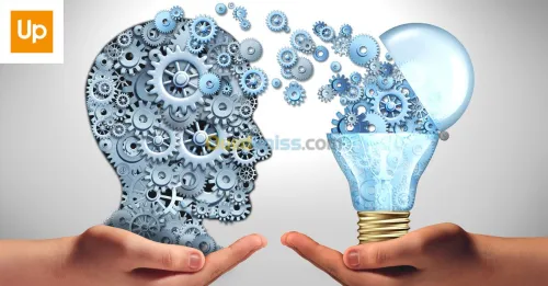 études, investissement & environnement