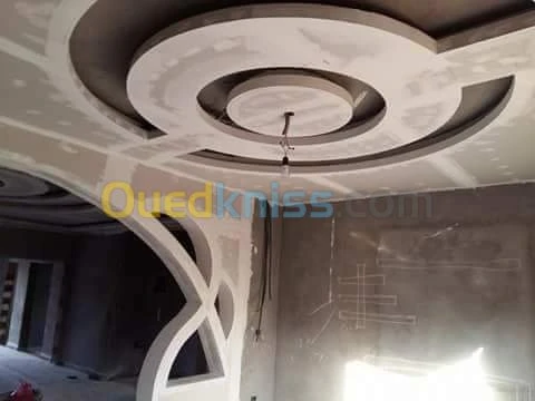 Placo platre pvc demontable 