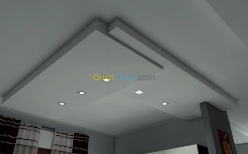 Placo platre pvc demontable 