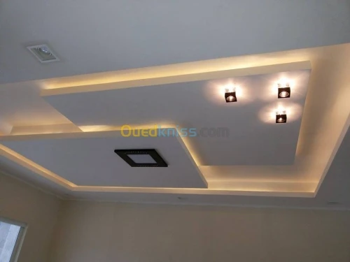 Placo platre pvc demontable 