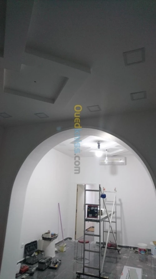 Placo platre pvc demontable 